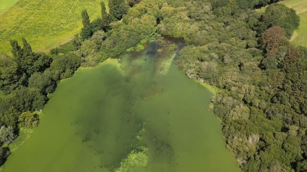 Découverte de l’étang du moulin neuf #drone#ploneourlanvern#moulinneuf#paysbigouden#etang