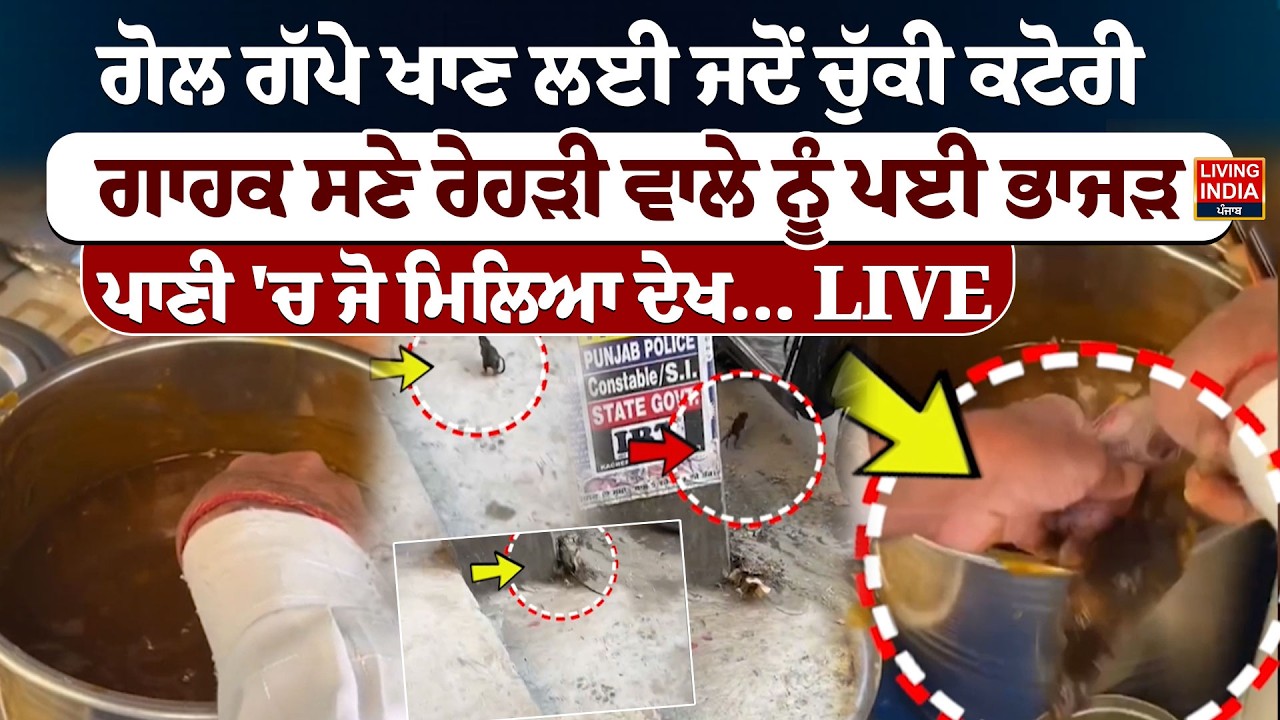Gol Gappa ਖਾਣ ਲਈ ਜਦੋਂ ਚੁੱਕੀ ਕਟੋਰੀ, ਗਾਹਕ ਸਣੇ  ਰੇਹੜੀ ਵਾਲੇ ਨੂੰ ਪਈ ਭਾਜੜ | Viral Social Media | LIVE
