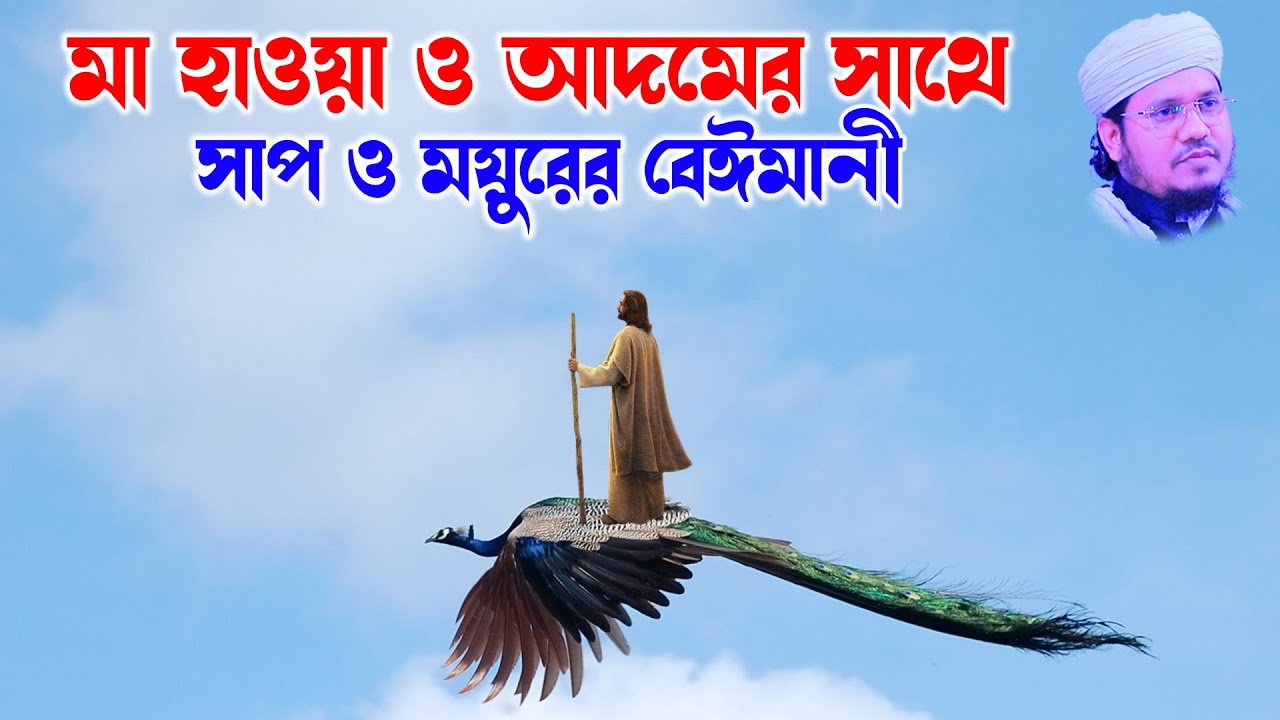 মা হাওয়া ও আদমের সাথে সাপ ও ময়ুরের বেঈমানী ।  Mozammel Haque Sayed | মোজাম্মেল হক সাঈদ | bd waz