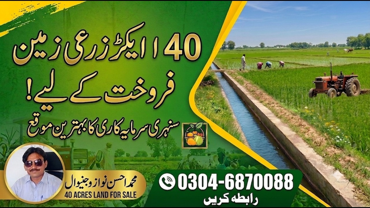 40 Acres of Agricultural Land for Sale | A Golden Investment Opportunity