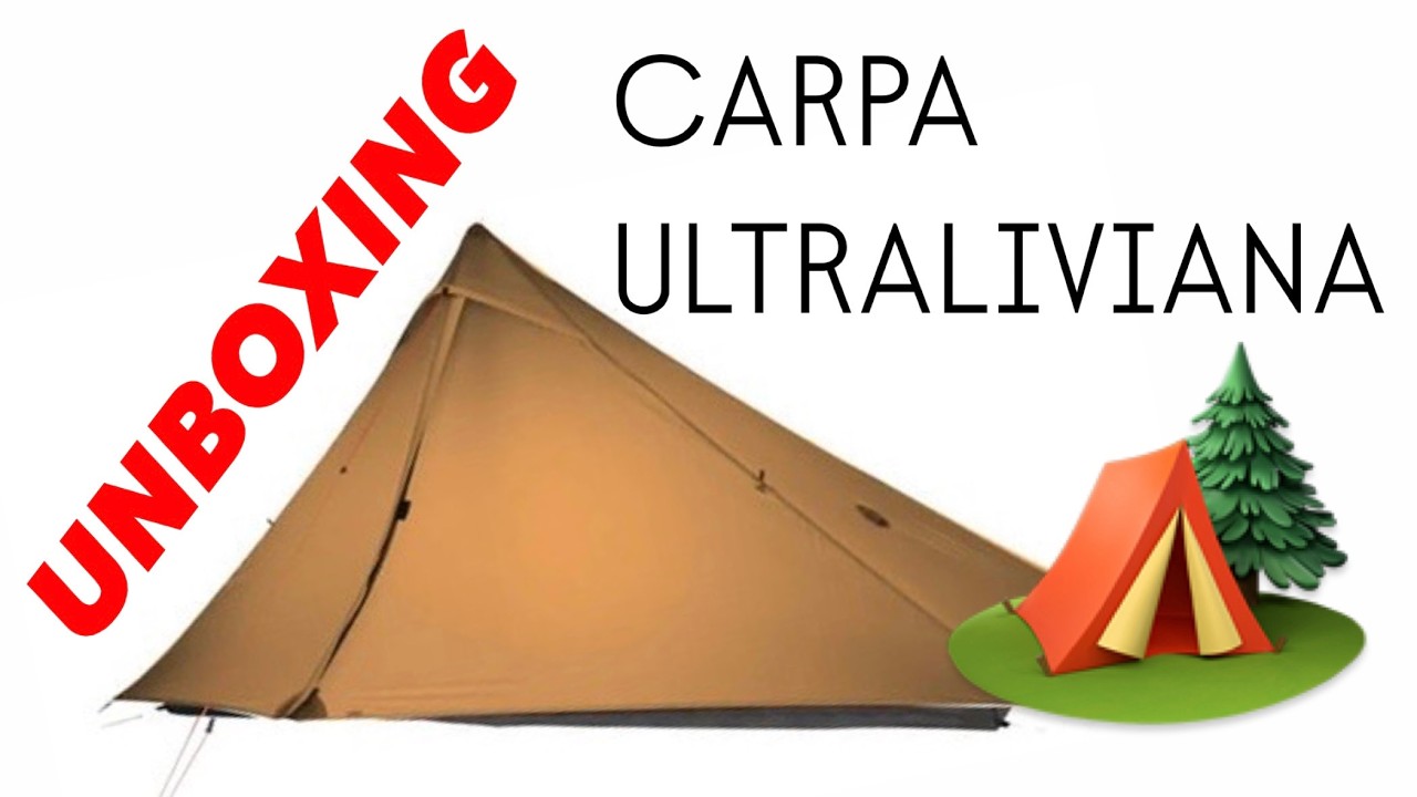 ME COMPRÉ UNA CARPA SIN PARANTES EN ALIEXPRESS - LANSHAN 1 DE 3FULGEAR