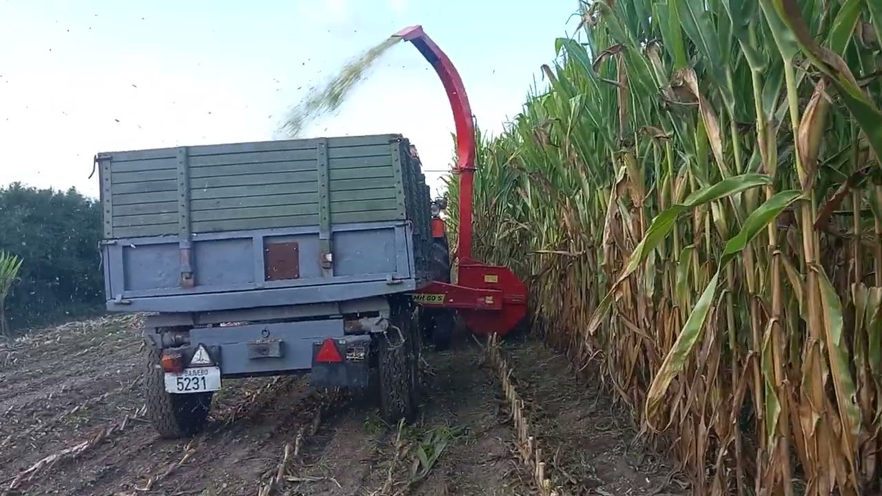 IMT 560 | PZ mh 80s | Pioneer p1535 | silaža 2022