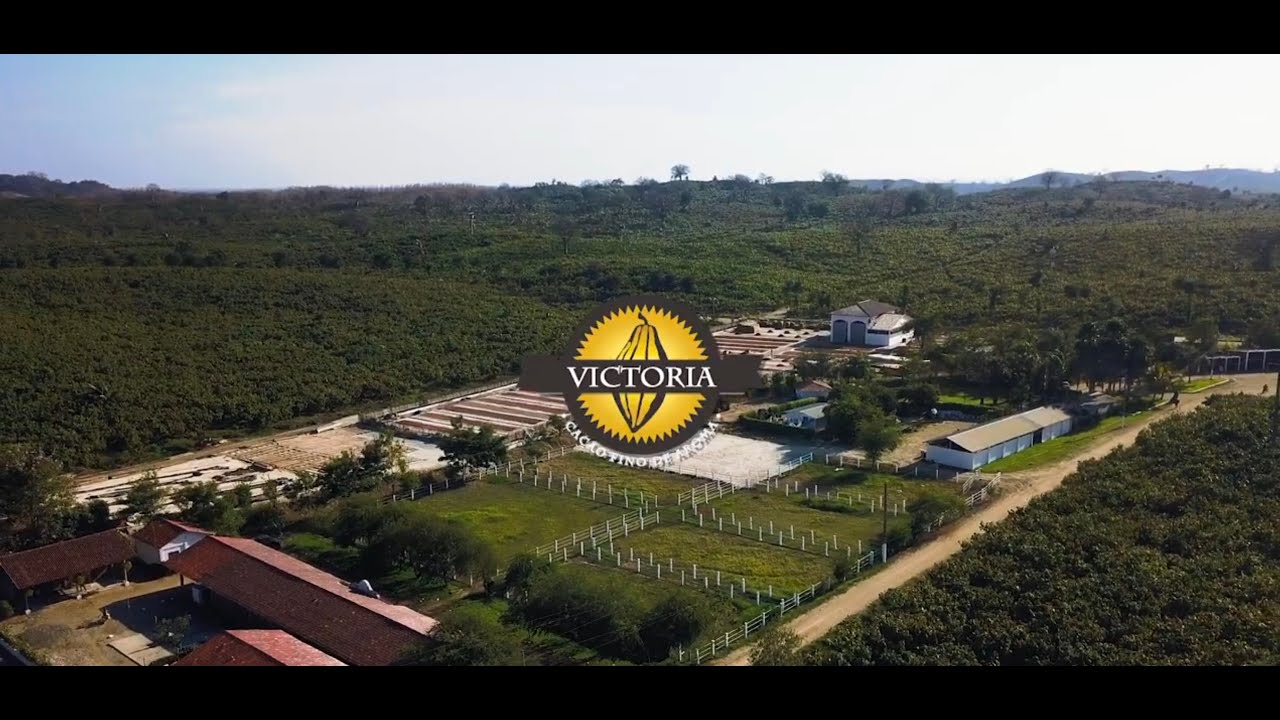 Video Hacienda Victoria