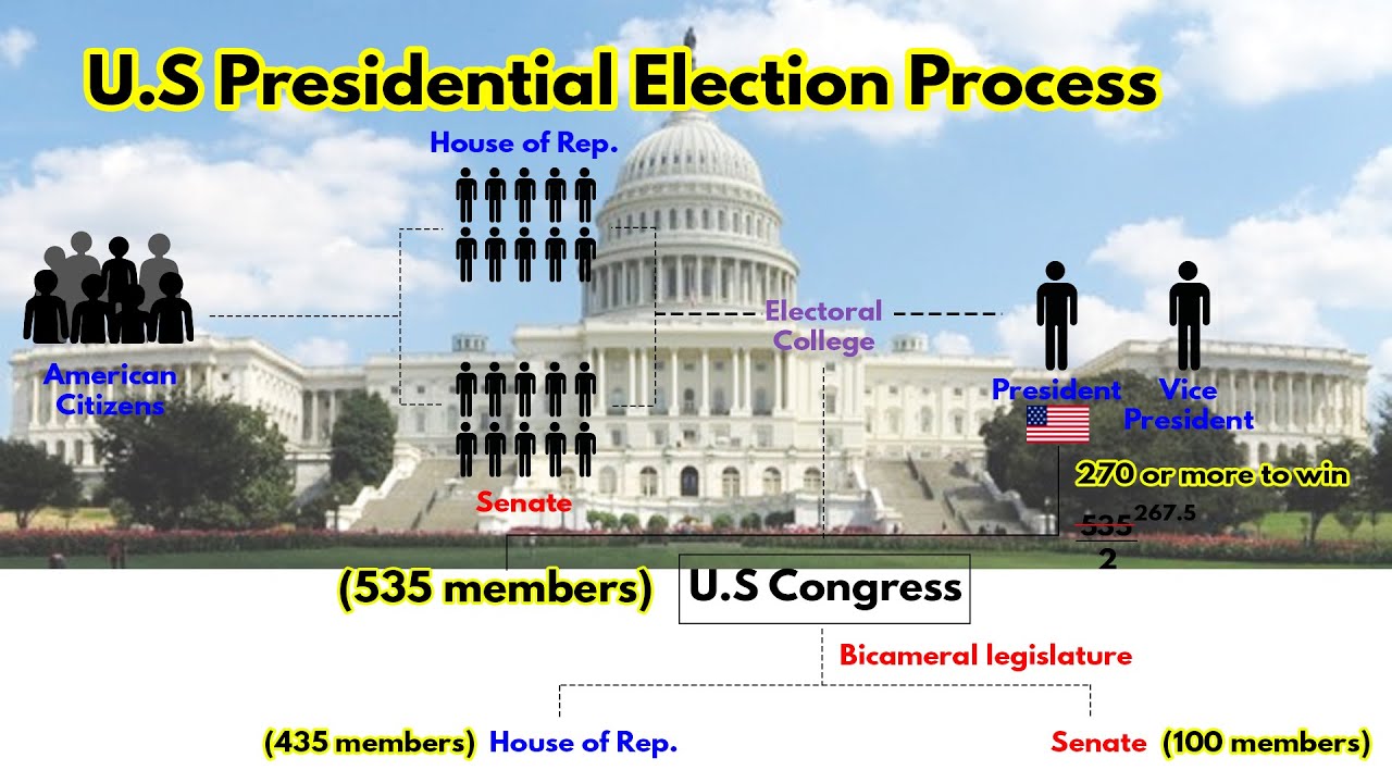 U.S. Presidential Election Process | Electoral College | House of Representatives vs Senate