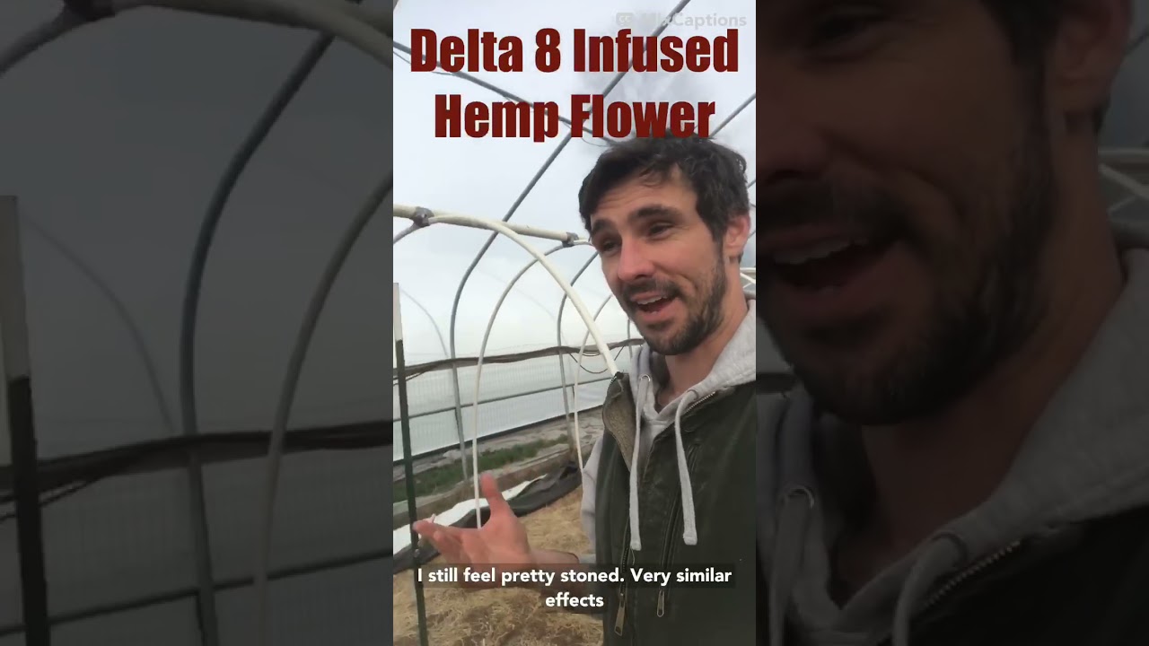 What does Delta 8 THC feel like?