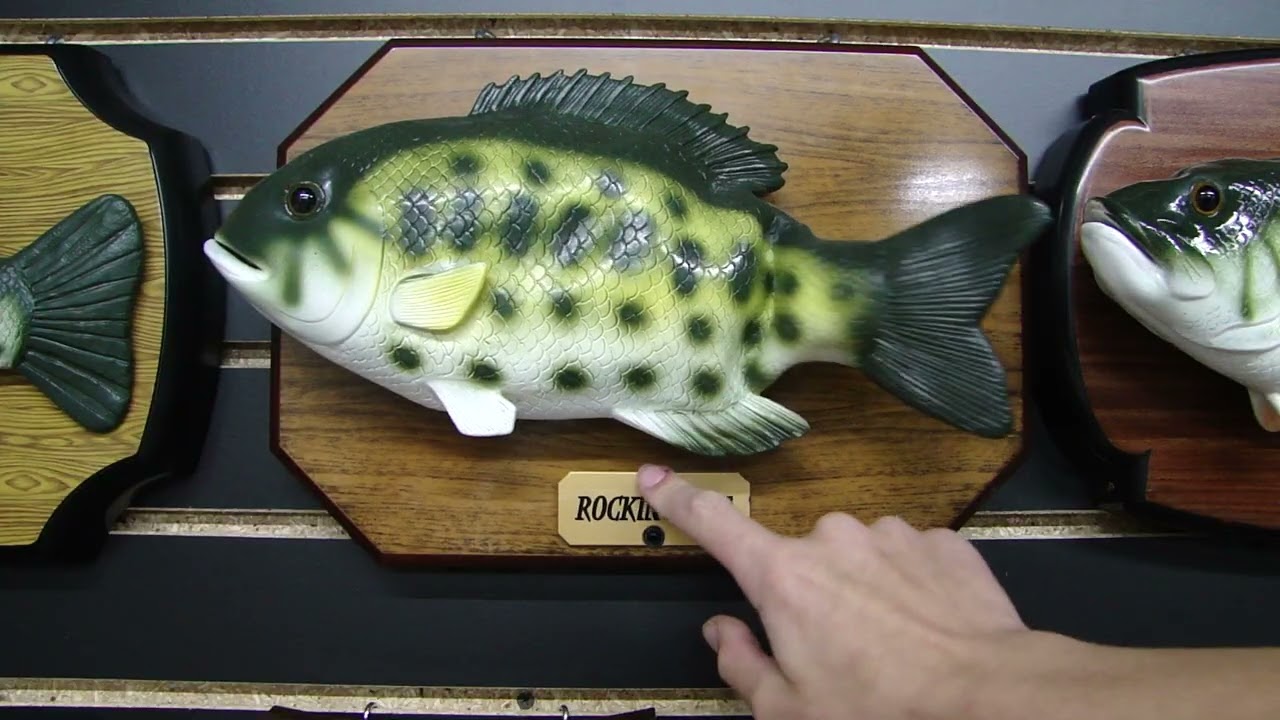 Teamforce Co Animated Rocking Fish - Crappie (Fried?)