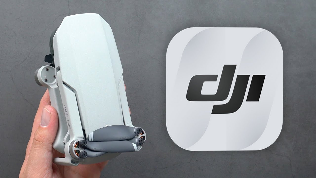 The Best DJI Fly Settings for the Mavic Mini