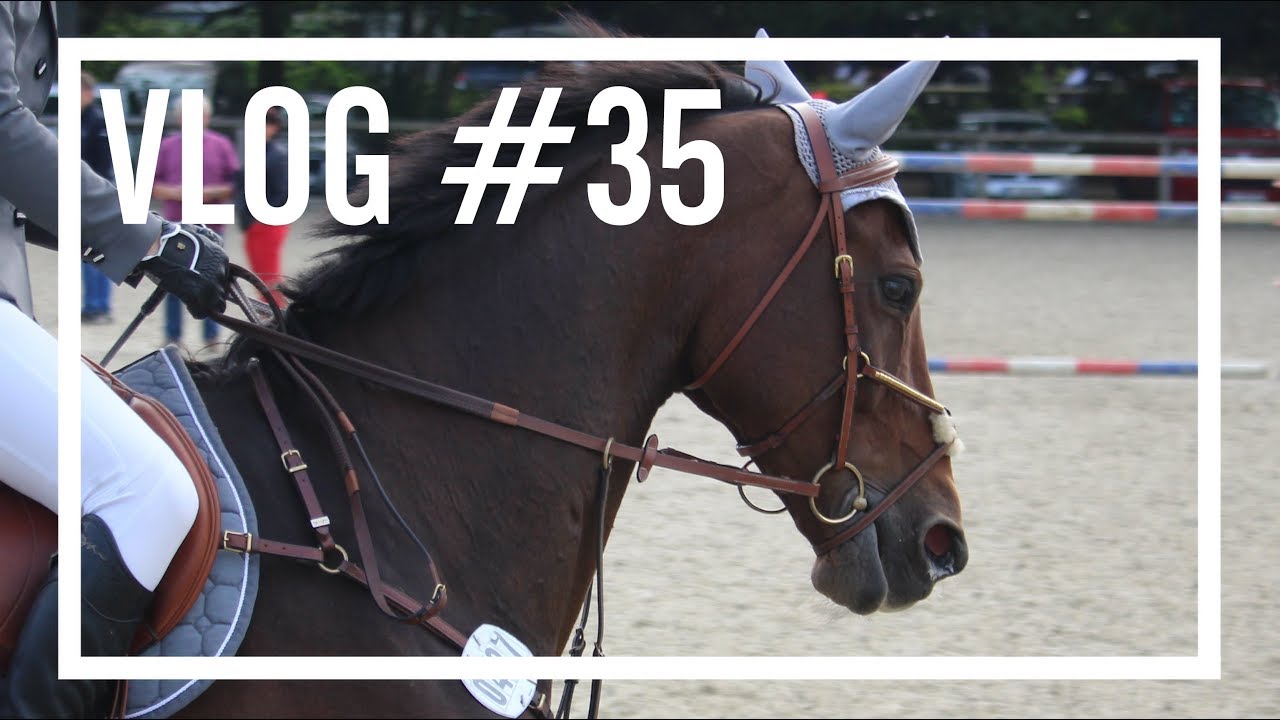 S*-Platzierung auf dem Landesturnier in Bad Segeberg #VLOG 35 | PIA