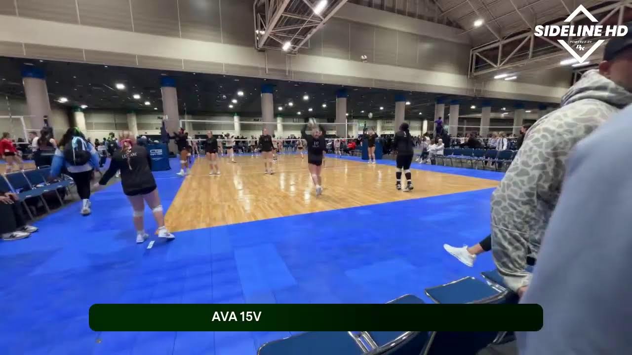 AVA 15V (2026.01.19)