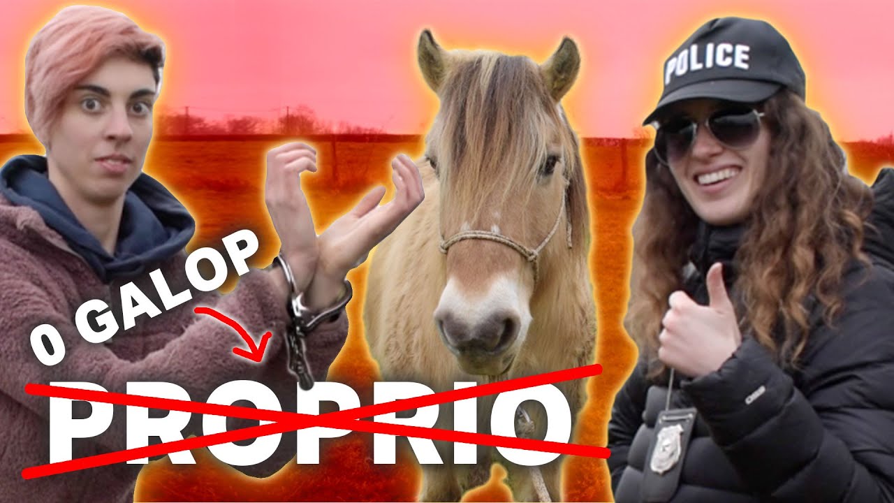 QUEL GALOP FAUT-IL POUR AVOIR SON CHEVAL ?