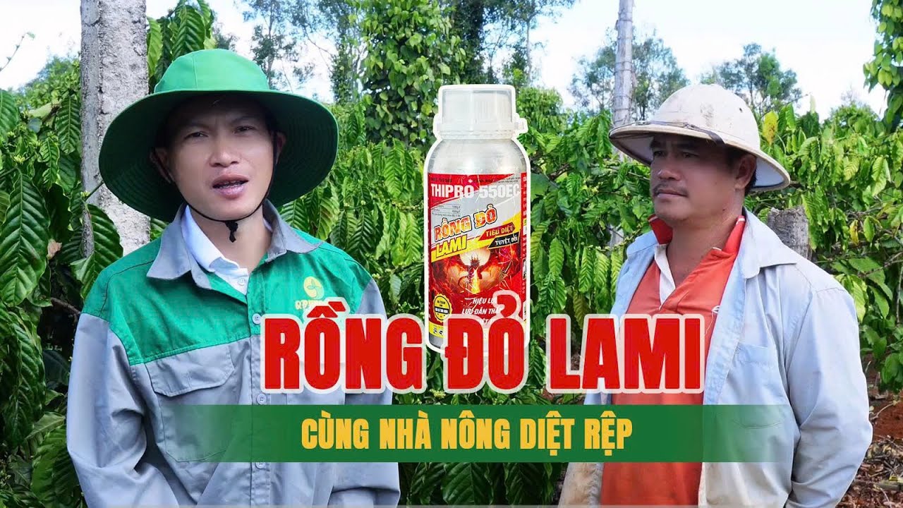 XỬ LÝ RỆP SÁP TẠI VƯỜN CÙNG RỒNG ĐỎ LAMI