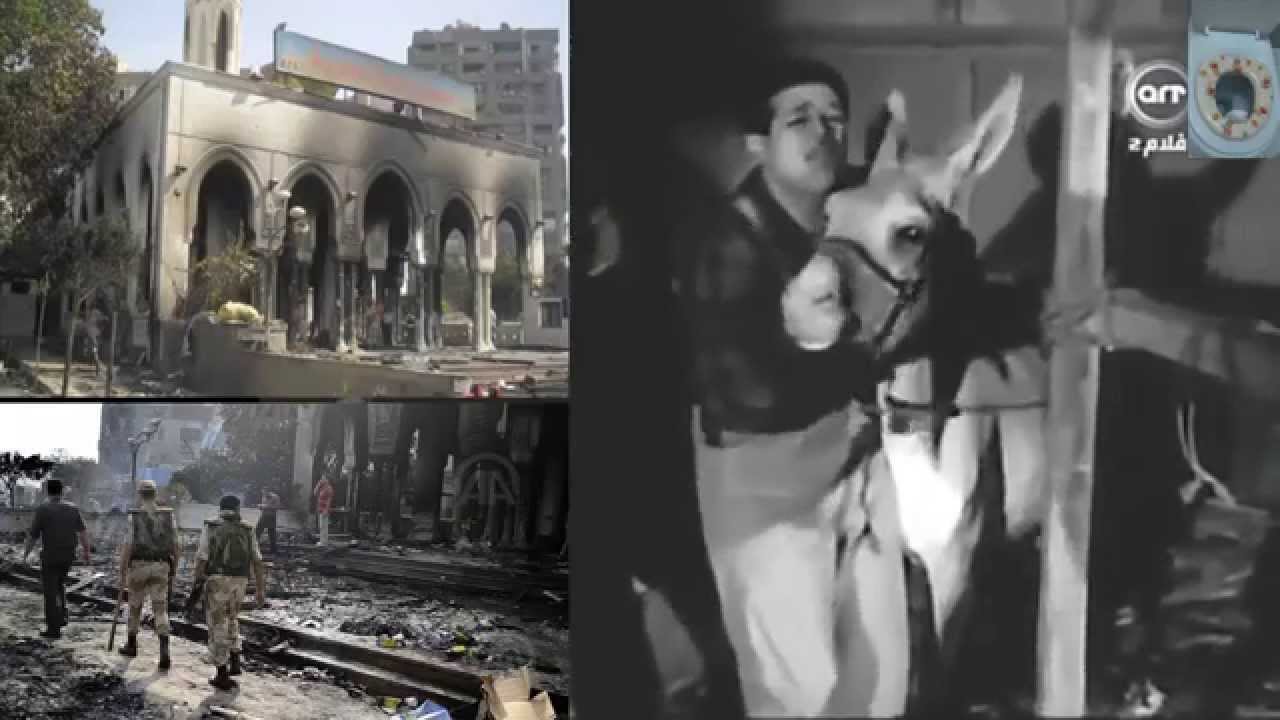قناة سيفون الفنية.. خليكوا شاهدين يا بهايم 