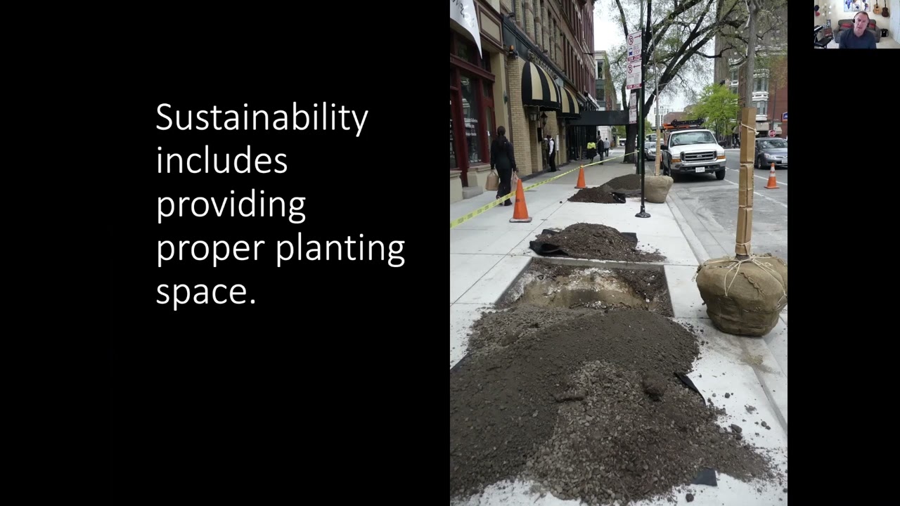 Tree Selection in the Urban Environment