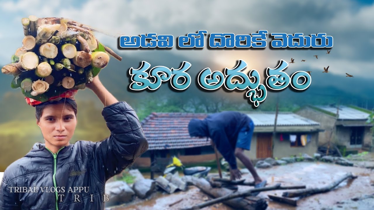 వెదురు కొమ్ముల కూర _tribal vlogger appu