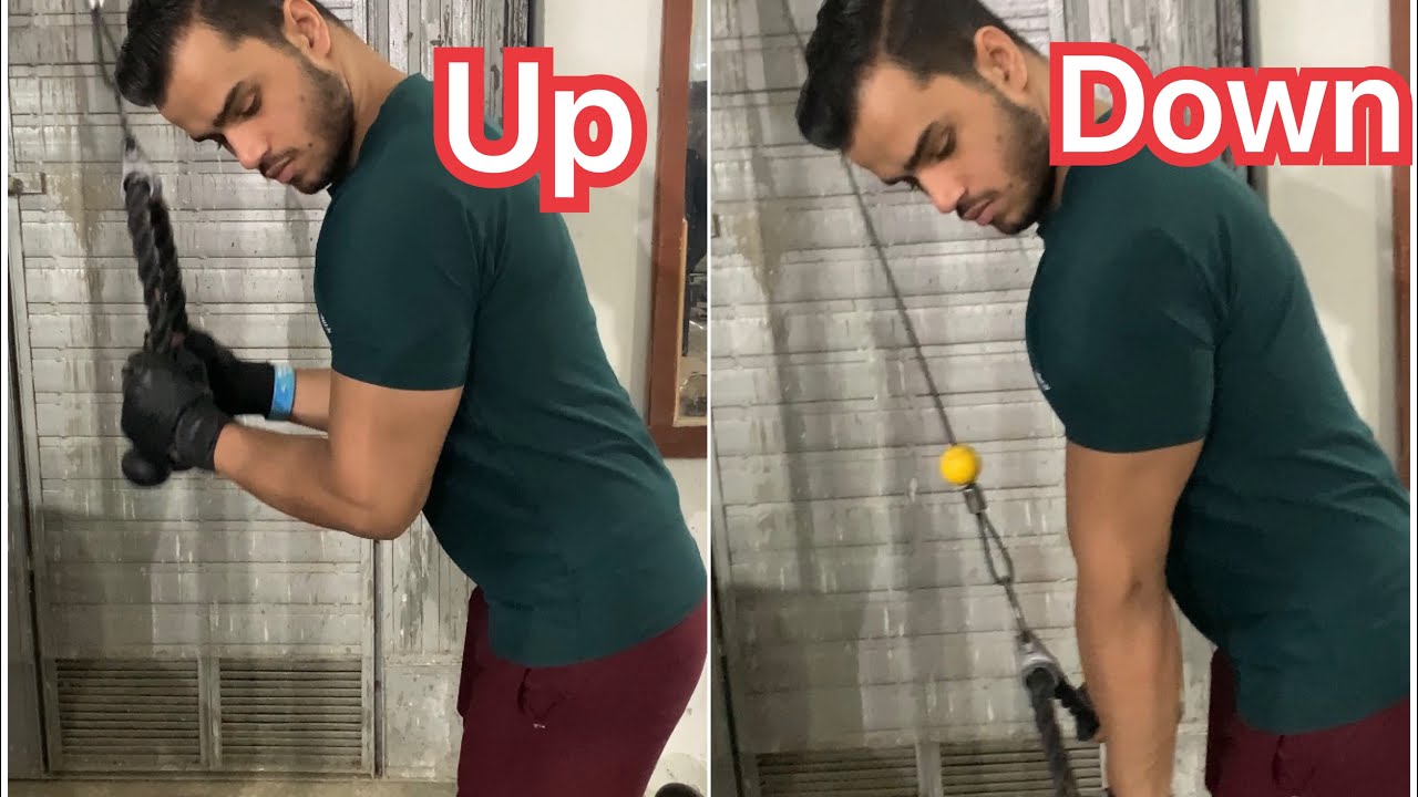 Form Correction for Triceps workout || The Mani Gym