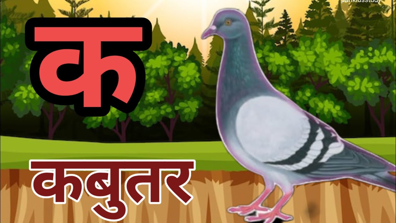 क से कबुतर, ख से खरगोश, अआइईउऊ, कखगघ, हिन्दी वर्णमाला, a se anar, k se kbuter, parikidsstudy