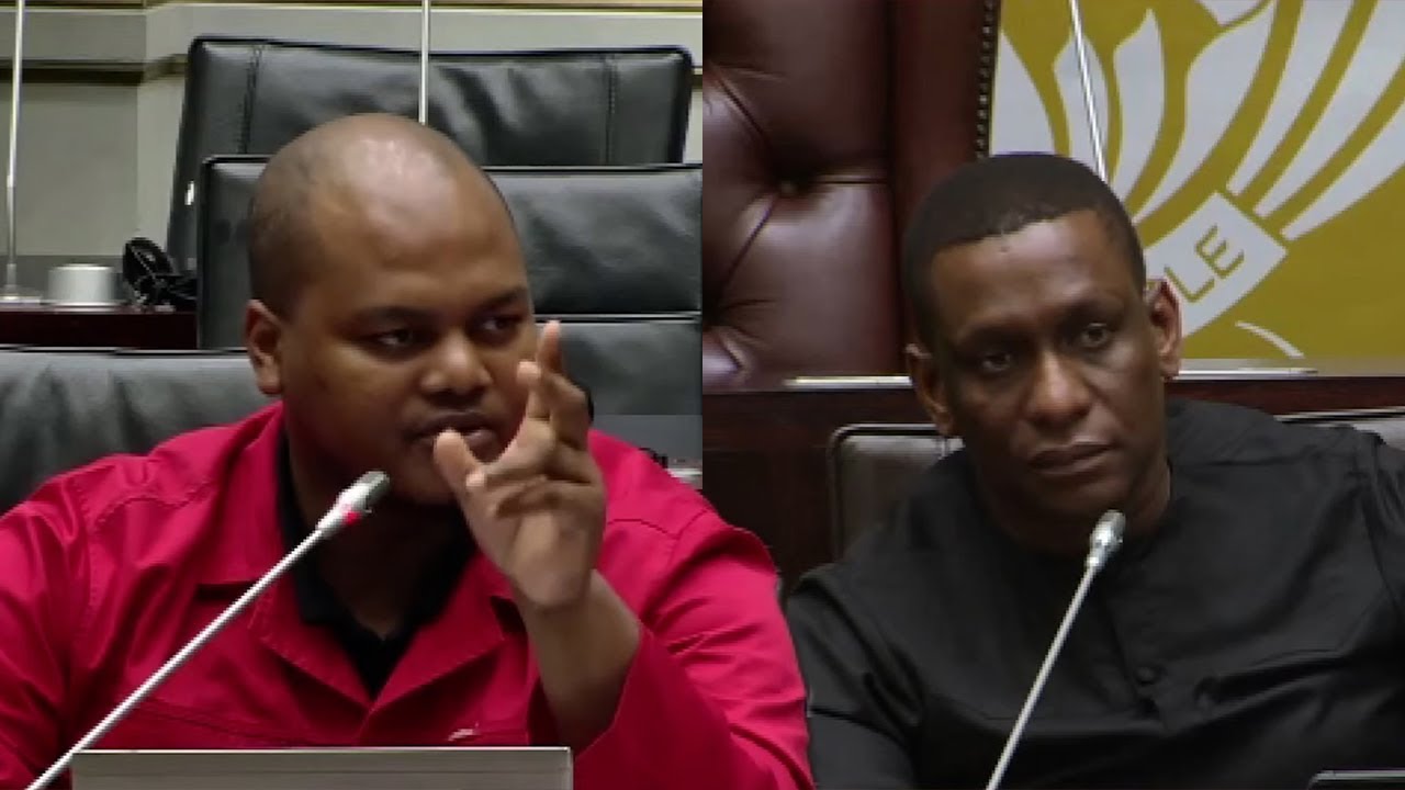 EFF Sihle Lonzi Asked By Chair “When You Ask A Question Just Ask 1 Question, I Want To Finish Early”