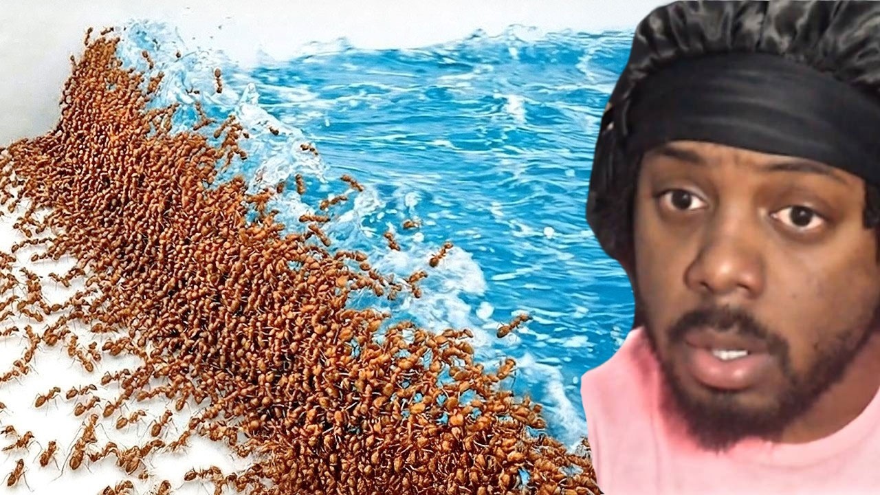 1,000 Ants vs. Natural Disasters Was INSANE