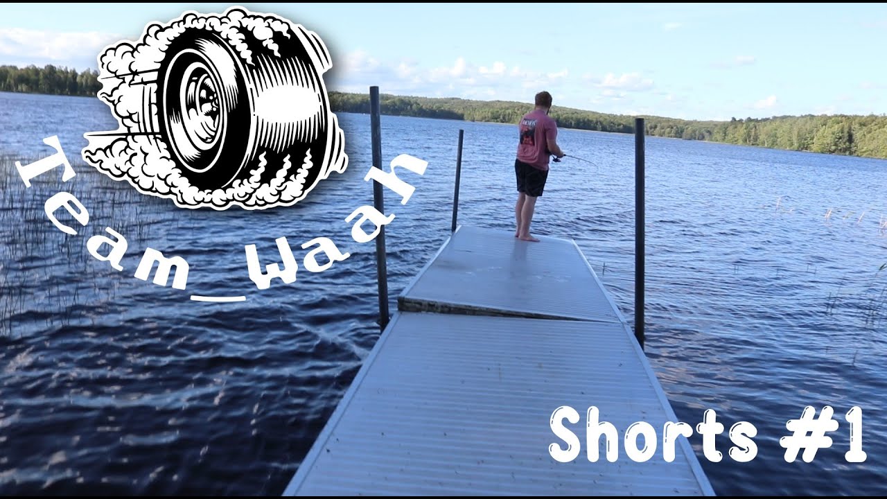 Team_Waah Fiskar Fina Fisken ||Shorts#1||