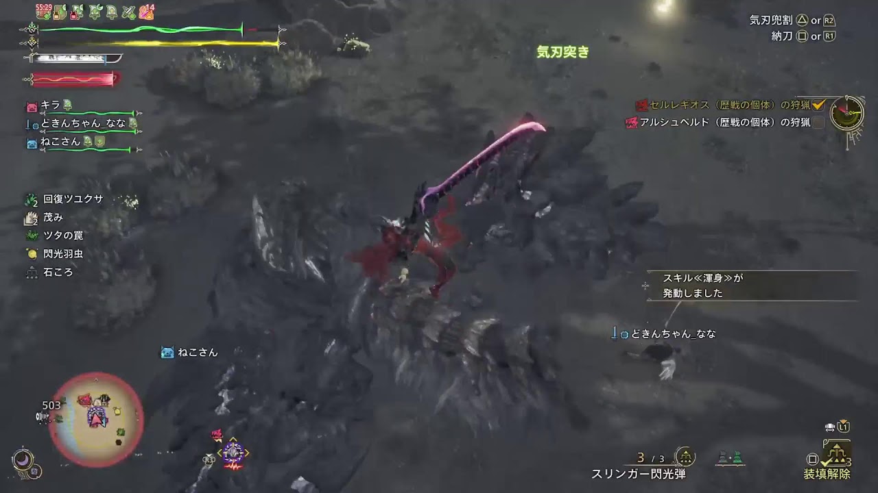 のんびりモンハンワイルズ配信