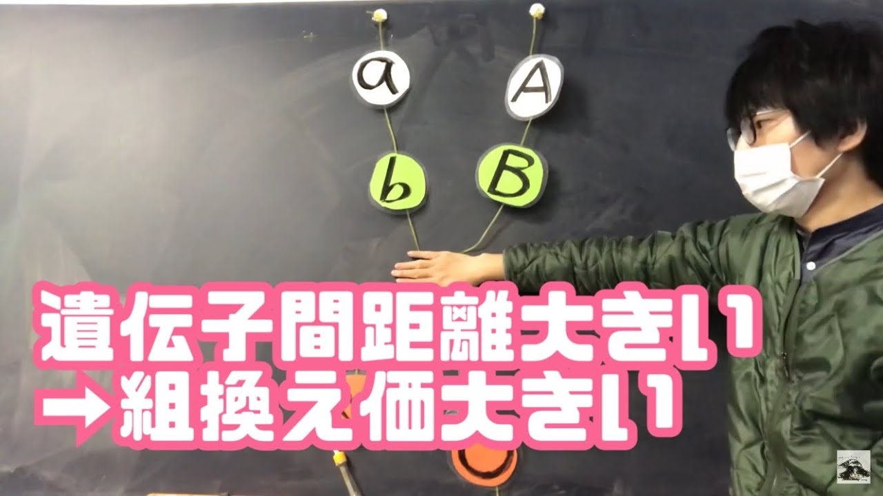 染色体の乗換え・遺伝子の組換え　高校生物