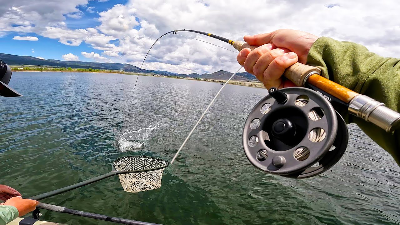 The Ultimate Fishing Trip to Taos - New RARE Species! || #FieldTrips New Mexico