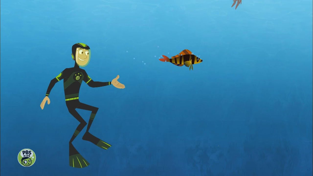 Wild Kratts AMV Waka Waka Shakira