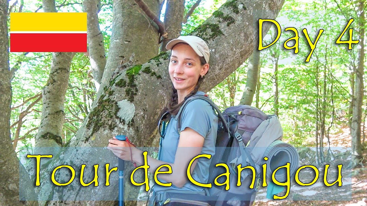 The most beautiful old beech forest on Tour du Canigou,Pyrenees-Orientales|Day 4-Refuge Sant Guillem