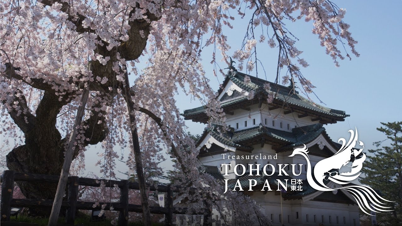 Sakura Stream in Tohoku, Japan 4K (Ultra HD) - 東北の春 | JNTO