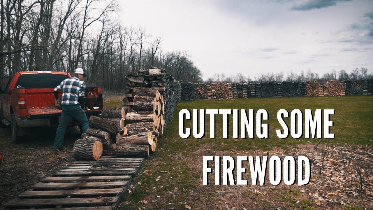 Oddly Satisfying Day of  Cutting Firewood