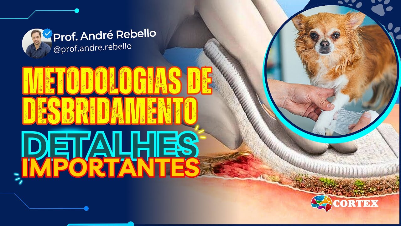 Tratamento de Feridas: Metodologia de Desbridamento