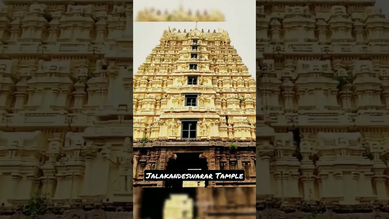 Jalakandeswarar Temple, Vellore, Tamil Nadu. #vellore #temple #travelvlog #trending #shorts #viral