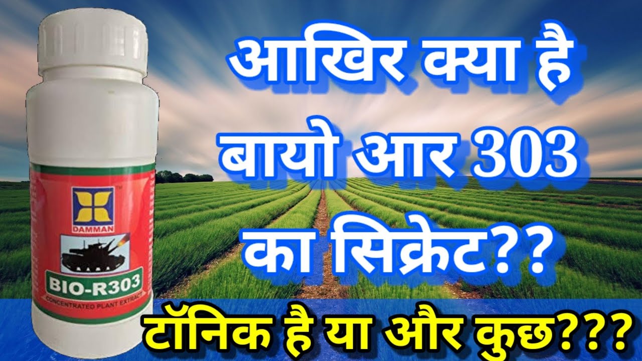 daman bio 303/bio 303 insecticide price/bio303/bio 303