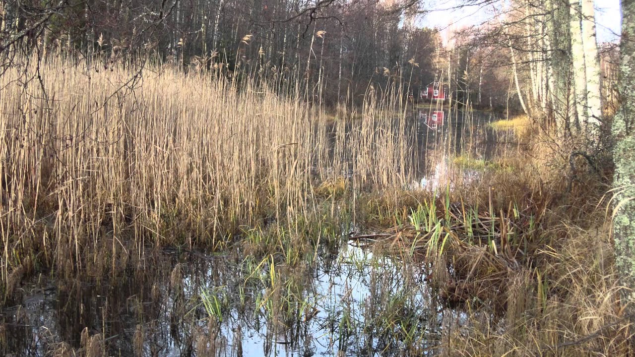 Lokauutiset 2013
