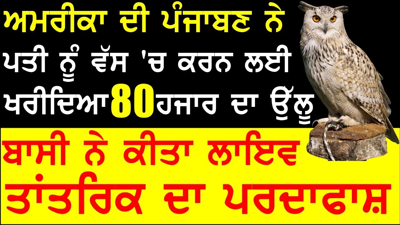 ਪੰਡਿਤ ਨੇ ਪੱਟੀ ਪੰਜਾਬਣ , 80 ਹਜਾਰ ਦਾ ਵੇਚਿਆ ਉੱਲੂ , BASSI SHOW TORONTO , ULLU & PANDIT PANDIT STORY