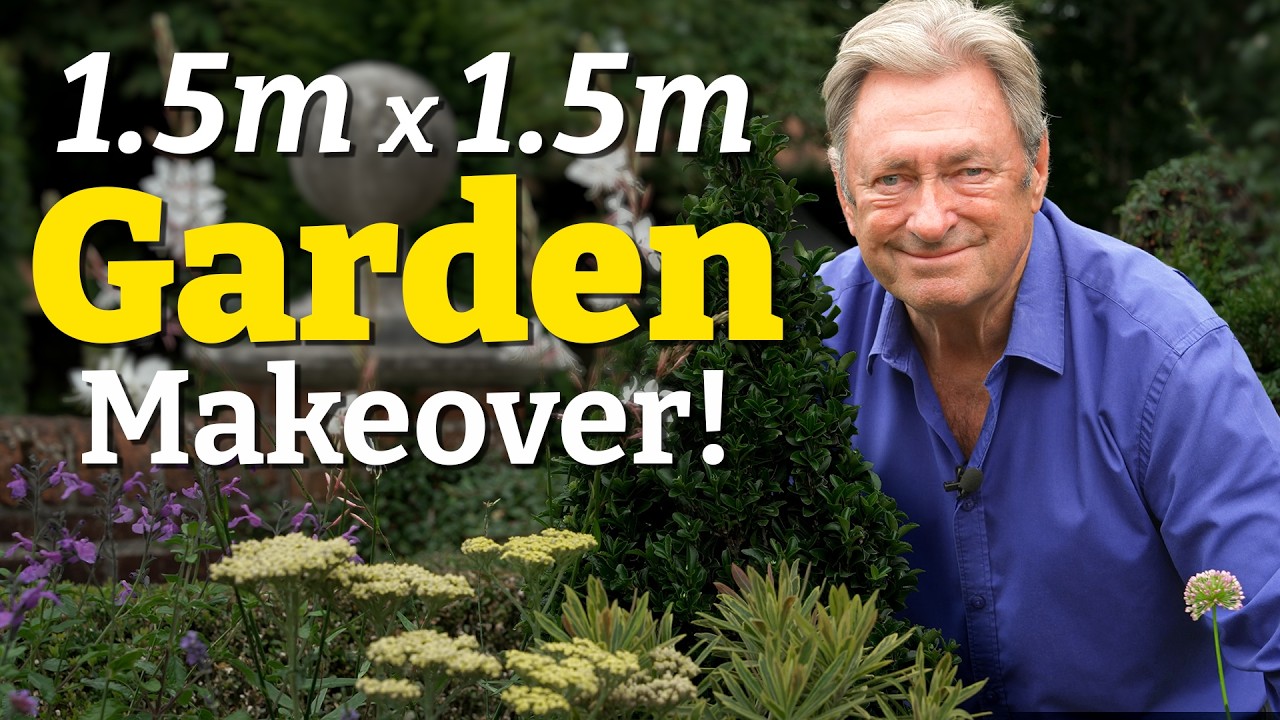 Tiny Garden Makeover (1.5m × 1.5m) in Just a Few Hours