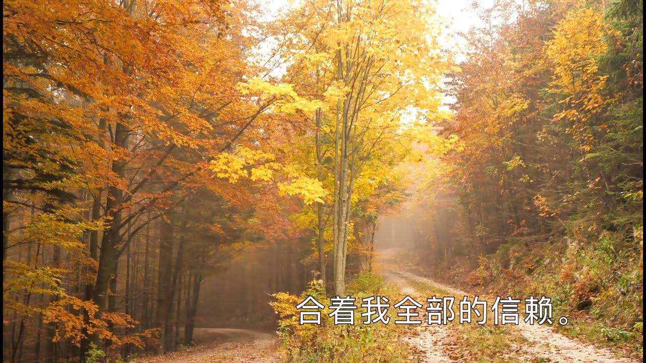 Д. Михайлов - Жалобно стонет ветер осени - Цзян Шанжун / Jiang Shangrong