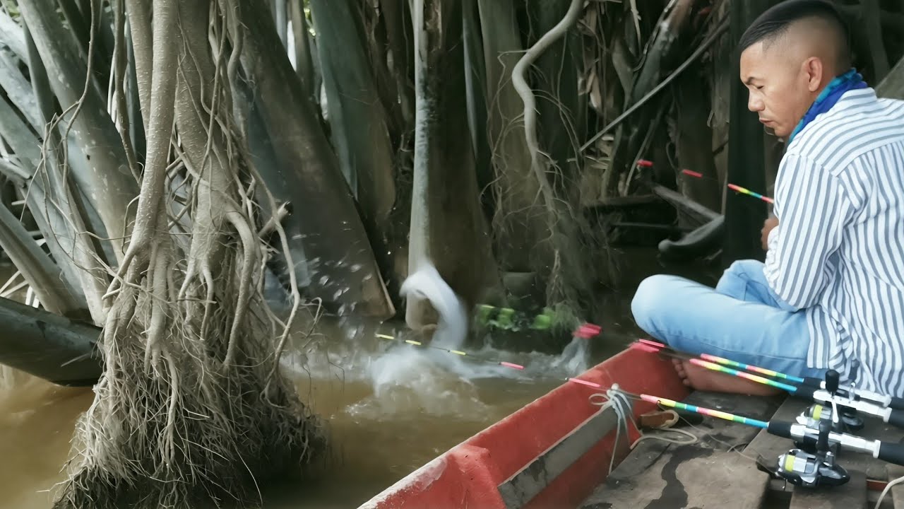 Catching a rare beautiful fish while fishing for giant prawns