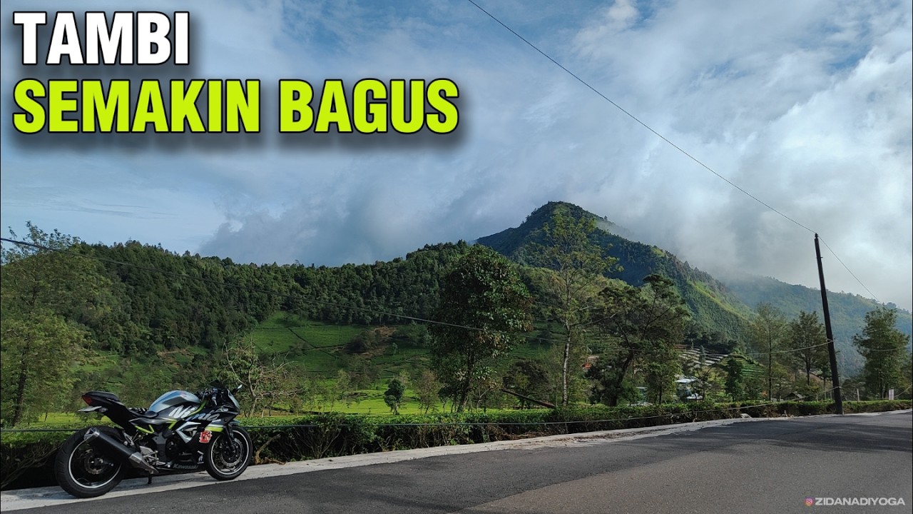 Kebun Teh Tambi, Wonosobo Sudah Semakin Bagus