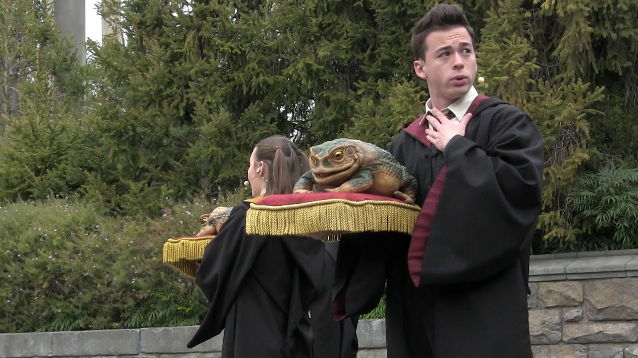 USJ NEW FROG CHOIR 2021.2.8.12:00