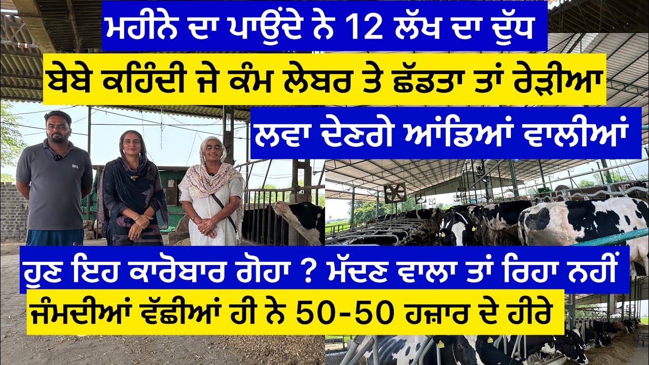 ਮਹੀਨੇ ਦਾ ਪਾਉਂਦੇ ਨੇ 12 ਲੱਖ ਦਾ ਦੁੱਧ ? ਬੇਬੇ ਕਹਿੰਦੀ ਜੇ ਕੰਮ ਲੇਬਰ ਤੇ ਛੱਡਤਾ ! ਆਂਡਿਆਂ ਵਾਲੀਆਂ ਰੇਹੜੀਆਂ ਲਵਾ  ….