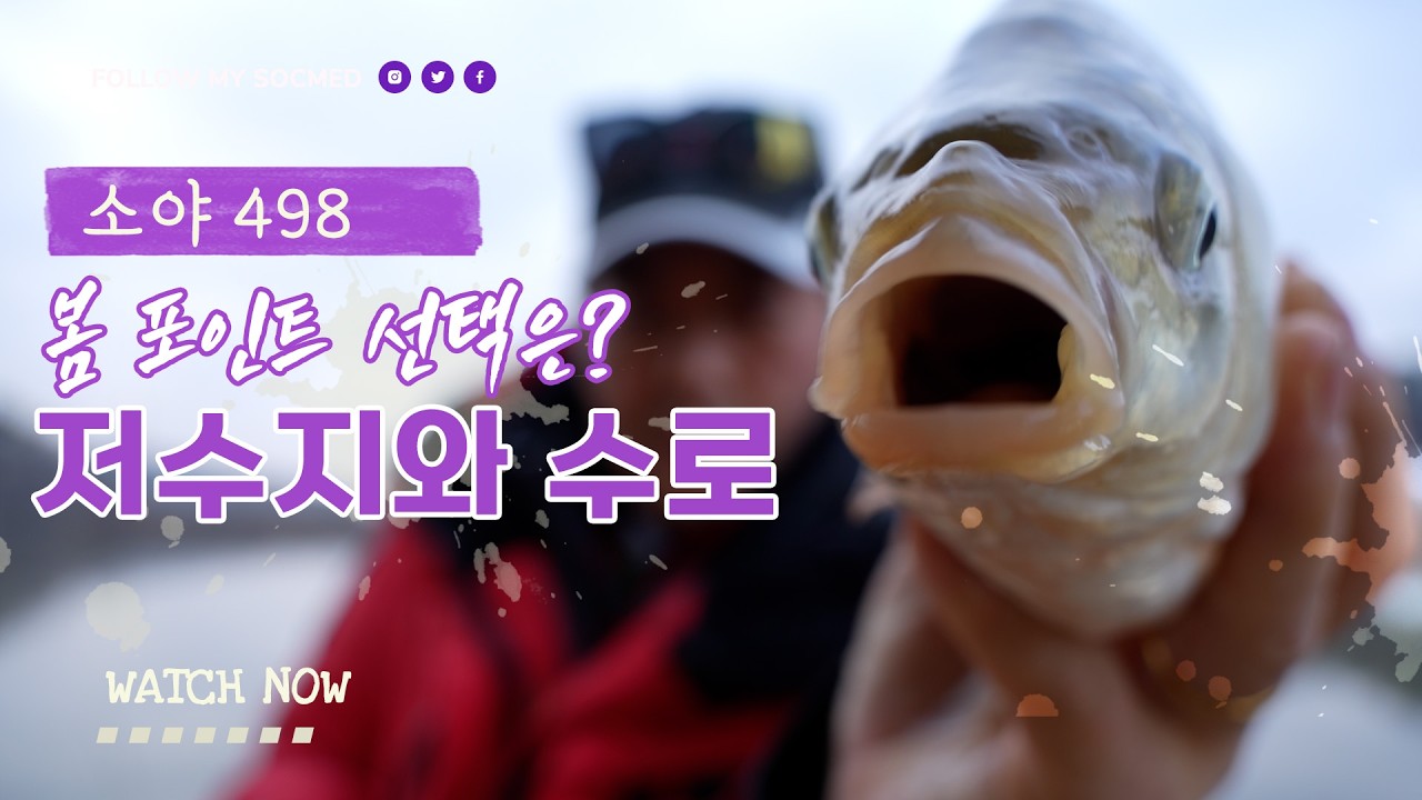 봄 포인트 선택은? 저수지와 수로