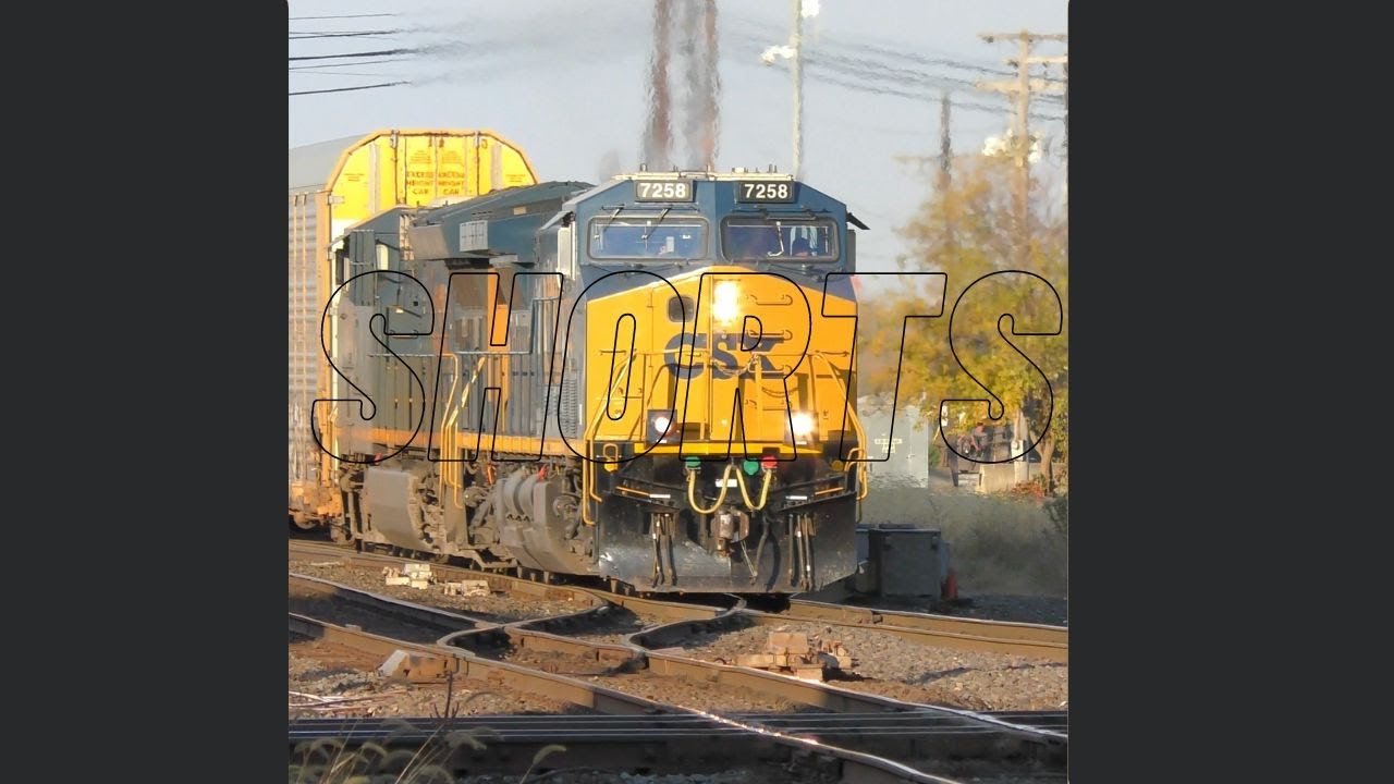 Monster Auto-rack Train