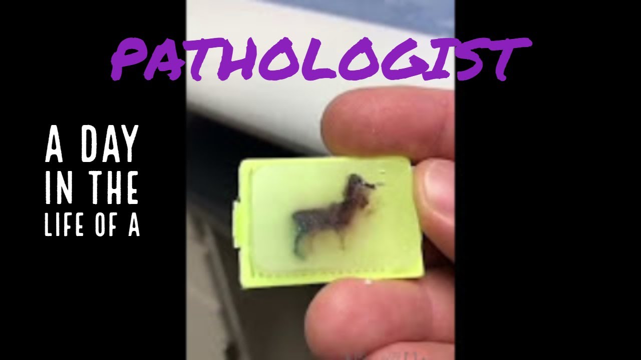 A Day in the Life of a Pathologist - MEDTakeovers by Jerad Gardner, MD