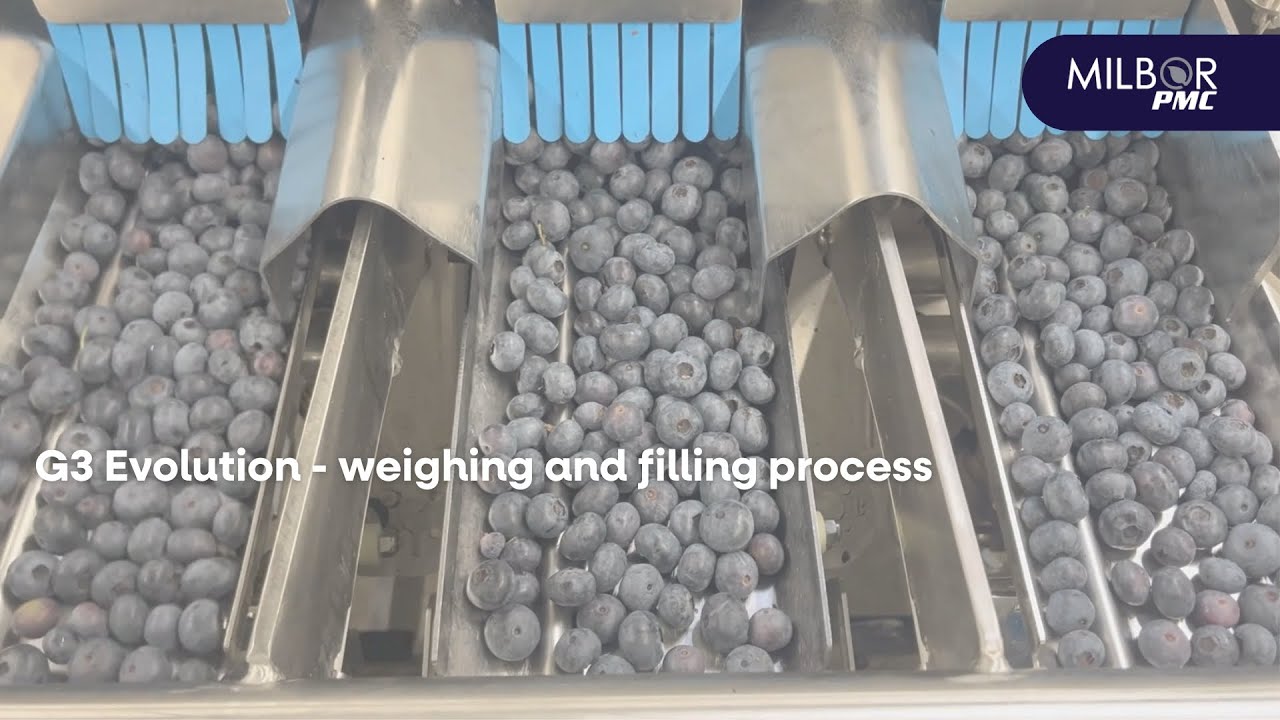 G3 Evolution - weighing and filling process | Milbor PMC