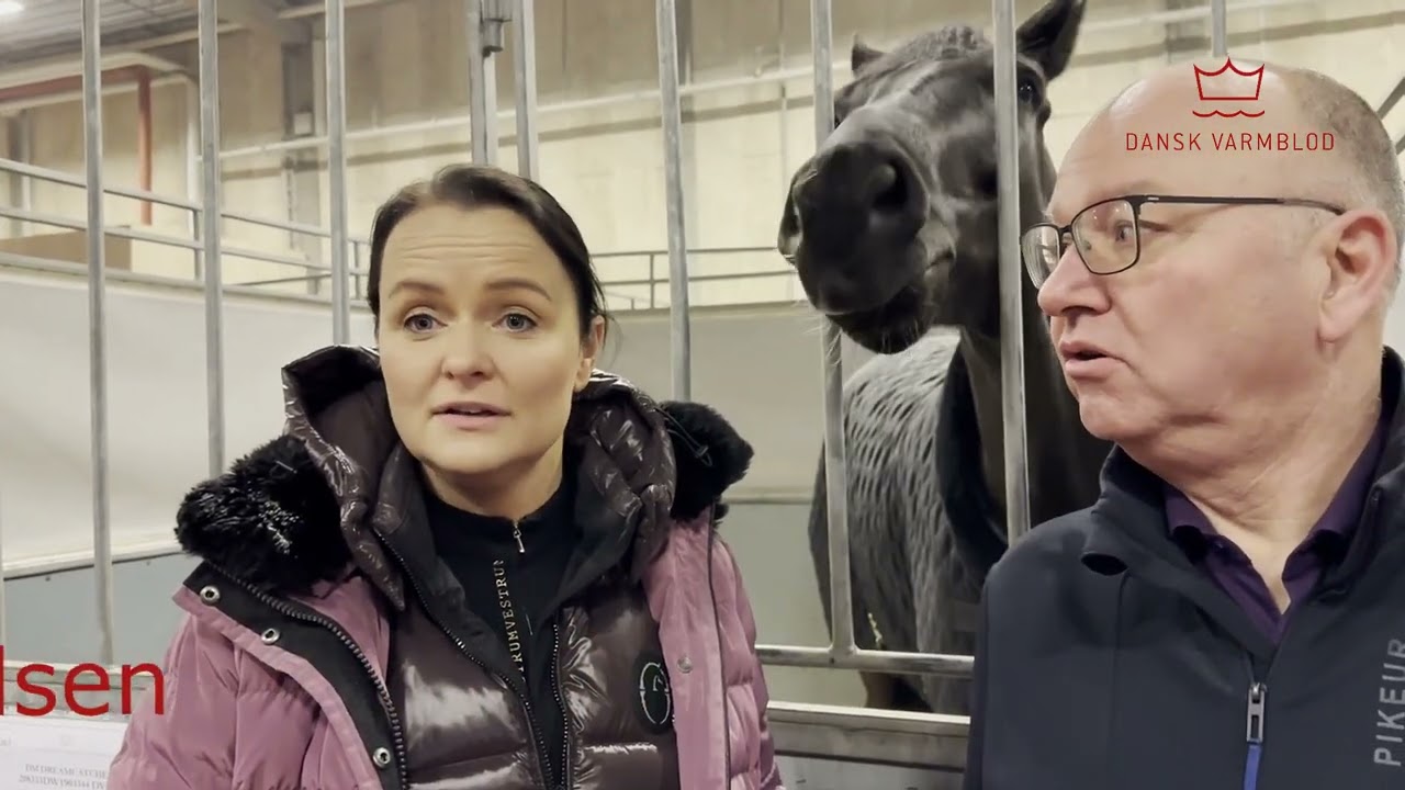 Hesteeftersyn DVHerning2024