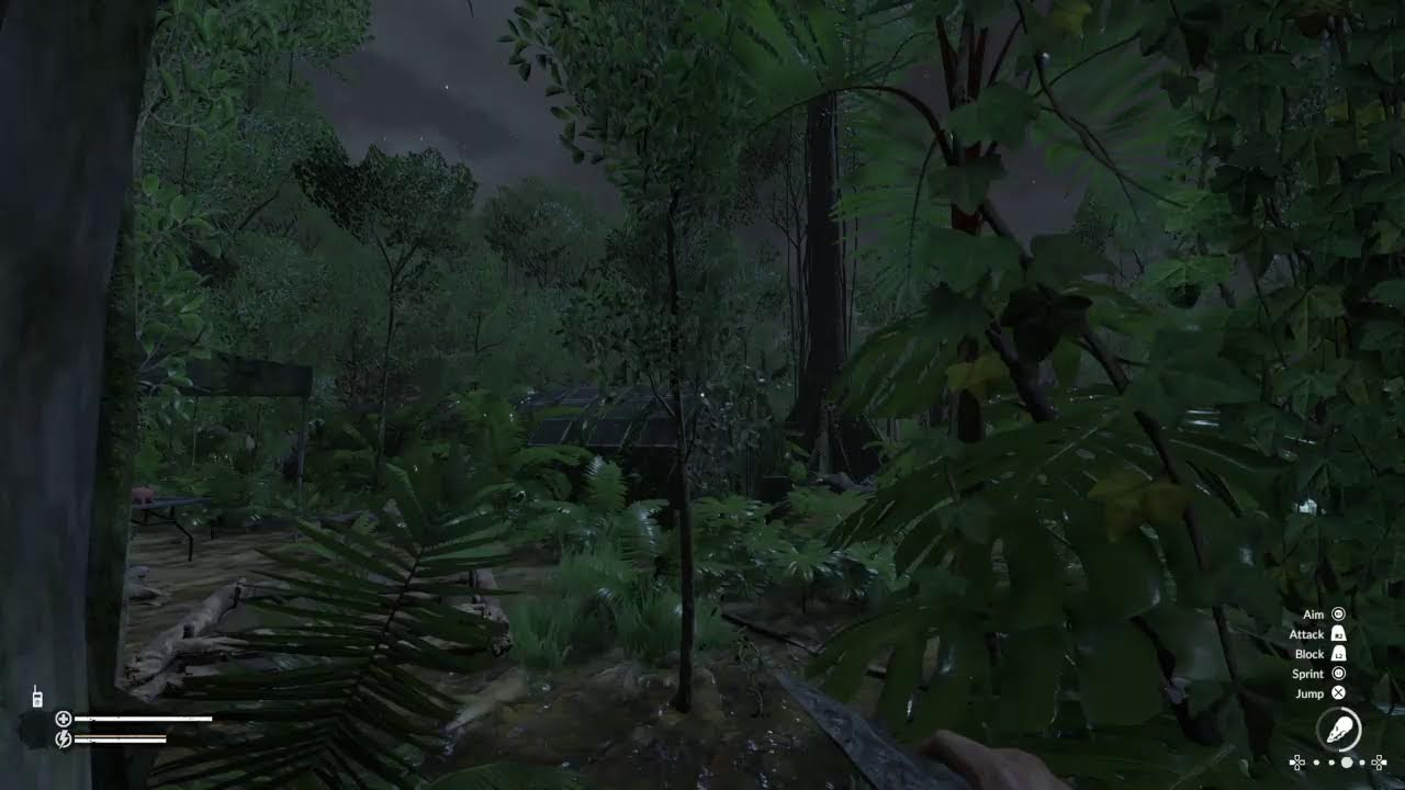 Green Hell (Rain sound)