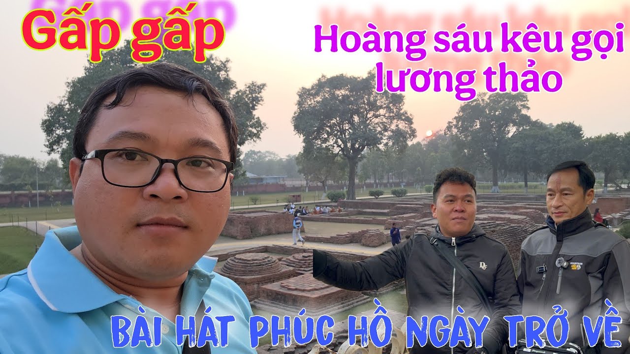 Gấp gấp: Hoàng sáu kêu gọi lương thảo