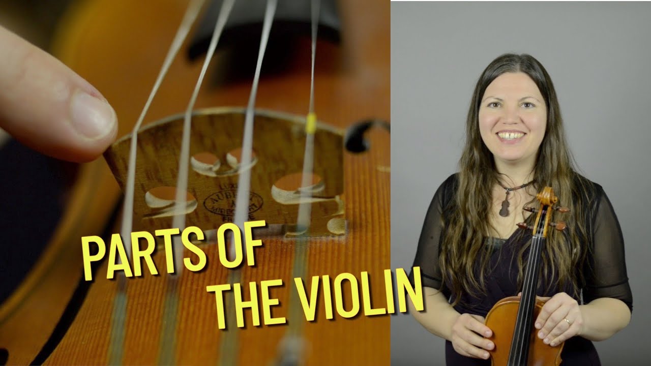 Parts of the Violin | Suzuki Violin Lessons