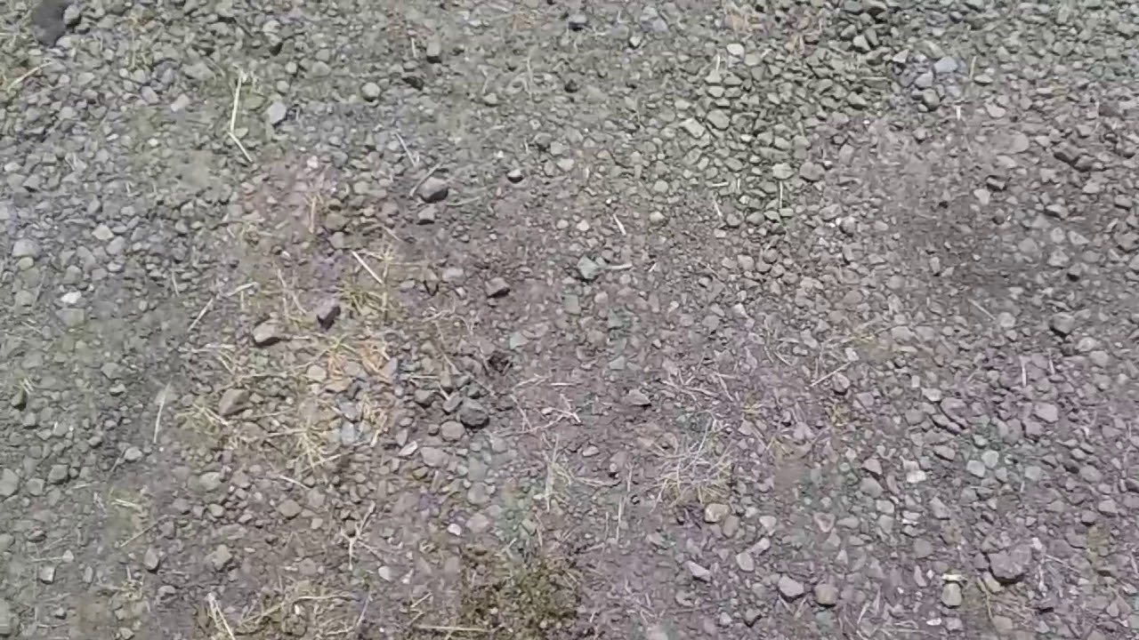 Got My Scooter Stolen! *Not Clickbait*